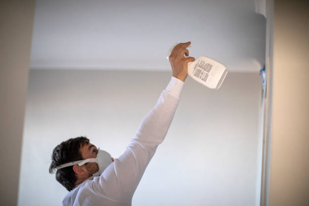 Best Home Mold Removal  in Savannah, TX
