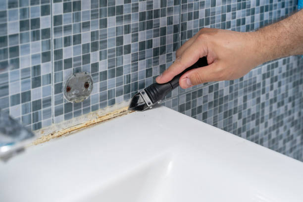 Best Black Mold Removal  in Savannah, TX
