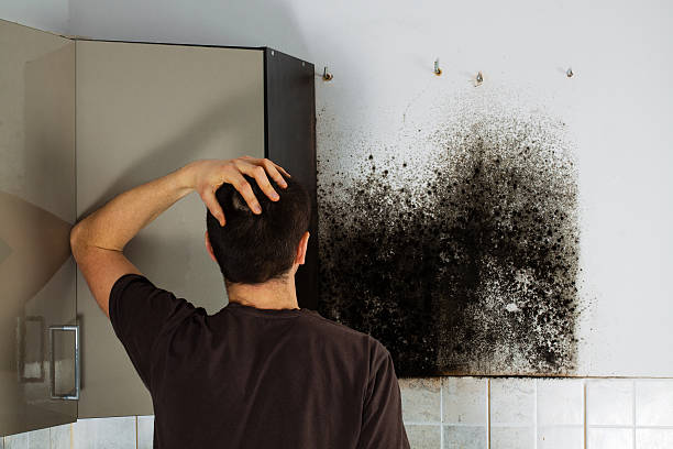 Best Residential Mold Removal  in Savannah, TX