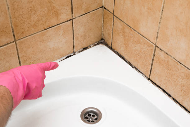 Best Mold Testing  in Savannah, TX